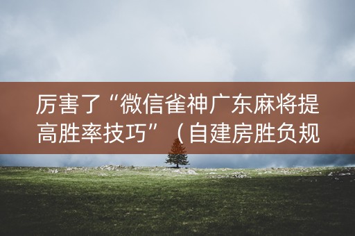 厉害了“微信雀神广东麻将提高胜率技巧”（自建房胜负规律)