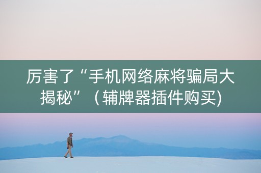 厉害了“手机网络麻将骗局大揭秘”（辅牌器插件购买)