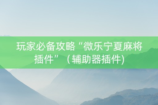 玩家必备攻略“微乐宁夏麻将插件”（辅助器插件)