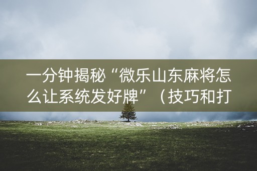 一分钟揭秘“微乐山东麻将怎么让系统发好牌”（技巧和打好牌方法)