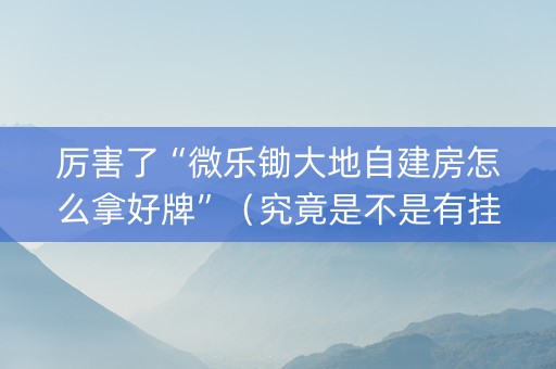厉害了“微乐锄大地自建房怎么拿好牌”（究竟是不是有挂)