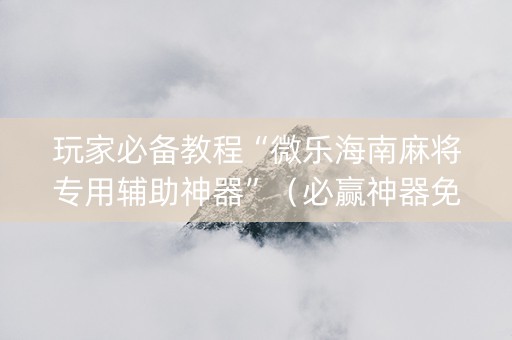 玩家必备教程“微乐海南麻将专用辅助神器”（必赢神器免费安装)