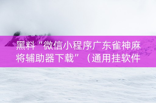 黑料“微信小程序广东雀神麻将辅助器下载”（通用挂软件多少钱)