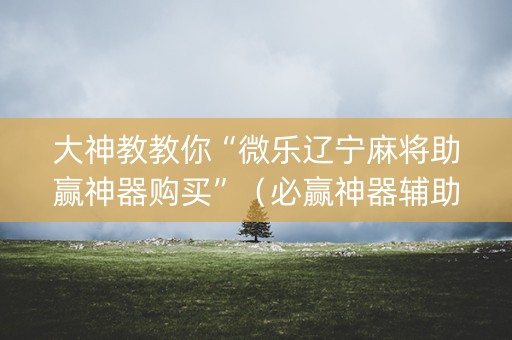 大神教教你“微乐辽宁麻将助赢神器购买”（必赢神器辅助器)