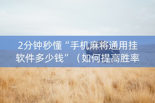 2分钟秒懂“手机麻将通用挂软件多少钱”（如何提高胜率)