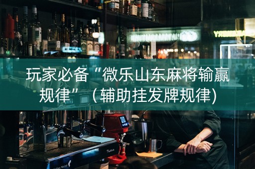 玩家必备“微乐山东麻将输赢规律”（辅助挂发牌规律)