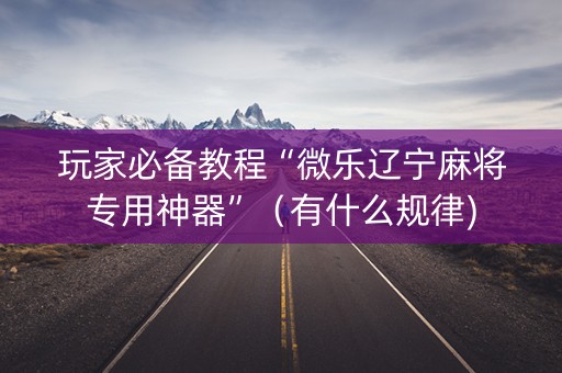 玩家必备教程“微乐辽宁麻将专用神器”（有什么规律)