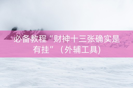 必备教程“财神十三张确实是有挂”（外辅工具)