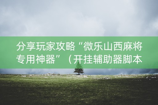 分享玩家攻略“微乐山西麻将专用神器”（开挂辅助器脚本)