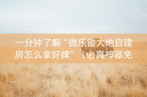 一分钟了解“微乐锄大地自建房怎么拿好牌”（必赢神器免费安装)