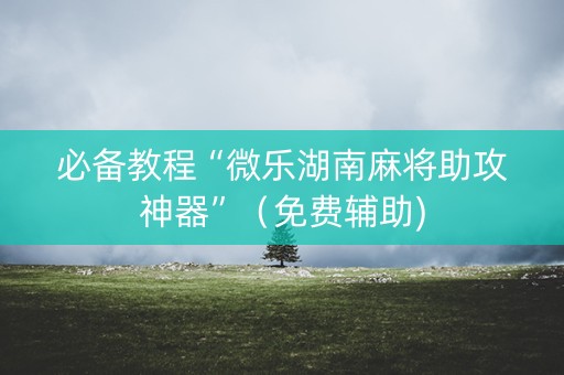 必备教程“微乐湖南麻将助攻神器”（免费辅助)