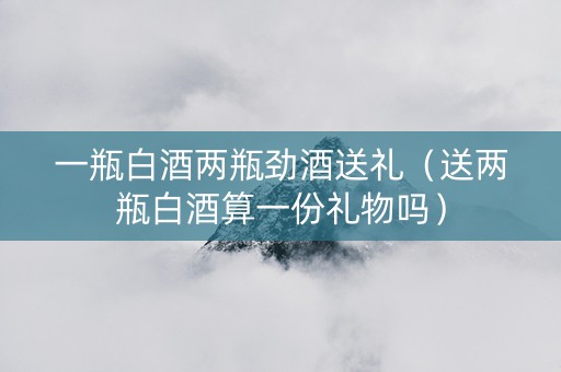 一瓶白酒两瓶劲酒送礼（送两瓶白酒算一份礼物吗）