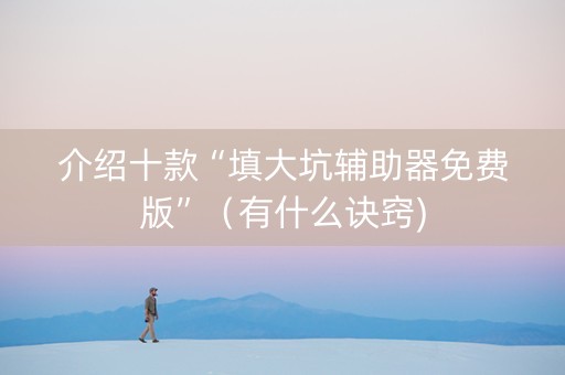 介绍十款“填大坑辅助器免费版”（有什么诀窍)