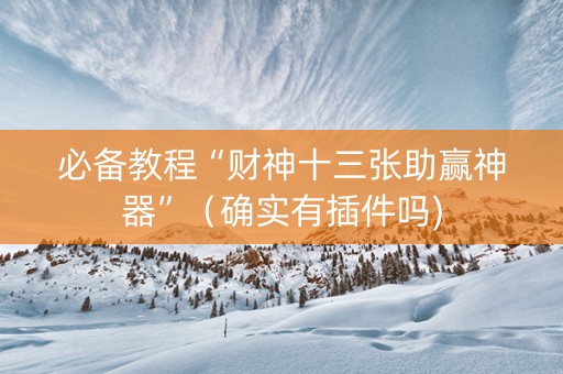 必备教程“财神十三张助赢神器”（确实有插件吗)