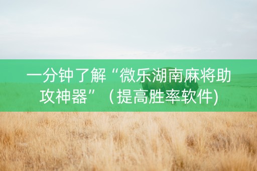 一分钟了解“微乐湖南麻将助攻神器”（提高胜率软件)