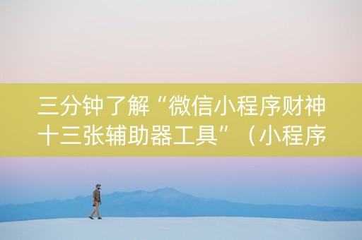 三分钟了解“微信小程序财神十三张辅助器工具”（小程序控牌器)