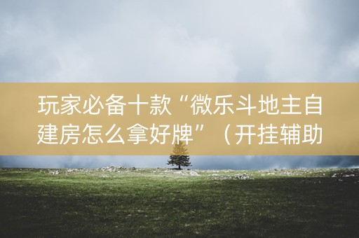 玩家必备十款“微乐斗地主自建房怎么拿好牌”（开挂辅助器插件)