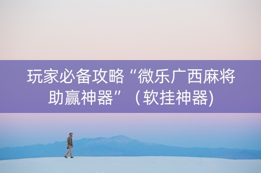 玩家必备攻略“微乐广西麻将助赢神器”（软挂神器)