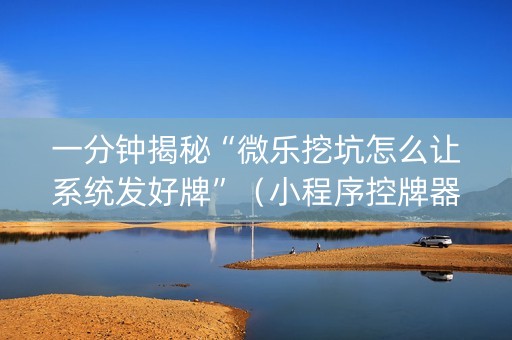 一分钟揭秘“微乐挖坑怎么让系统发好牌”（小程序控牌器)
