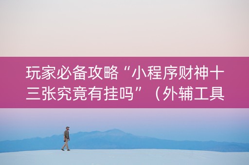 玩家必备攻略“小程序财神十三张究竟有挂吗”（外辅工具)