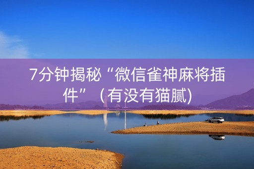 7分钟揭秘“微信雀神麻将插件”（有没有猫腻)