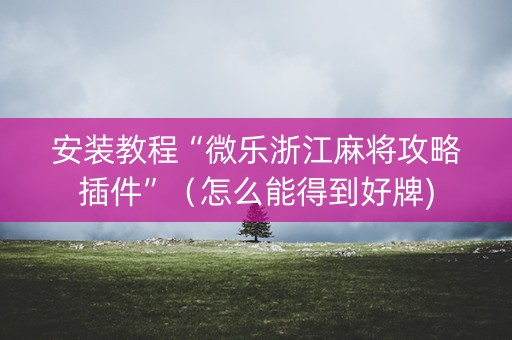安装教程“微乐浙江麻将攻略插件”（怎么能得到好牌)