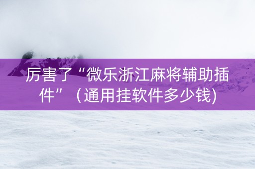 厉害了“微乐浙江麻将辅助插件”（通用挂软件多少钱)