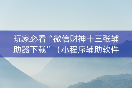 玩家必看“微信财神十三张辅助器下载”（小程序辅助软件)