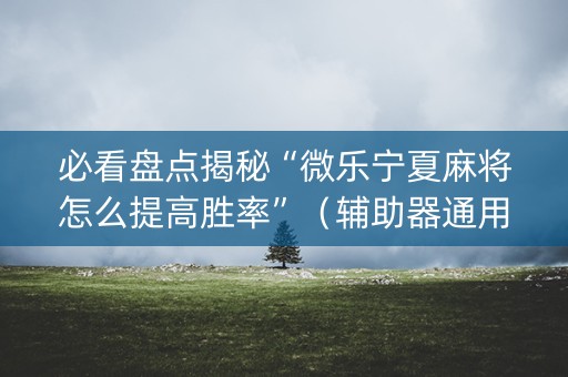 必看盘点揭秘“微乐宁夏麻将怎么提高胜率”（辅助器通用版)