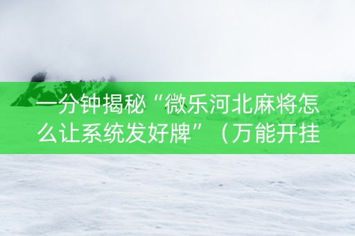 一分钟揭秘“微乐河北麻将怎么让系统发好牌”（万能开挂神器)