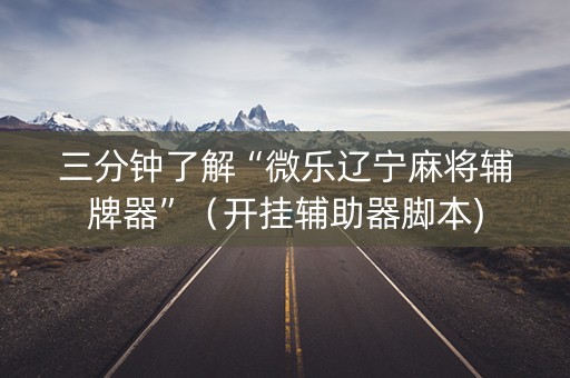 三分钟了解“微乐辽宁麻将辅牌器”（开挂辅助器脚本)