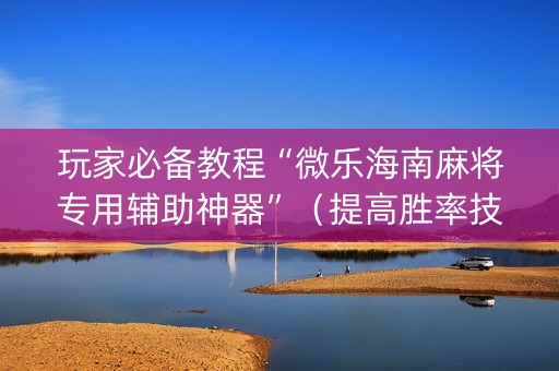 玩家必备教程“微乐海南麻将专用辅助神器”（提高胜率技巧)