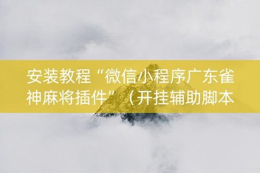 安装教程“微信小程序广东雀神麻将插件”（开挂辅助脚本)