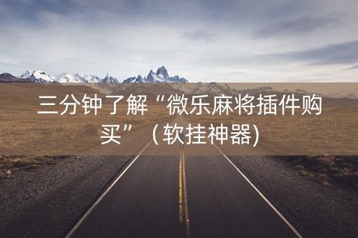 三分钟了解“微乐麻将插件购买”（软挂神器)