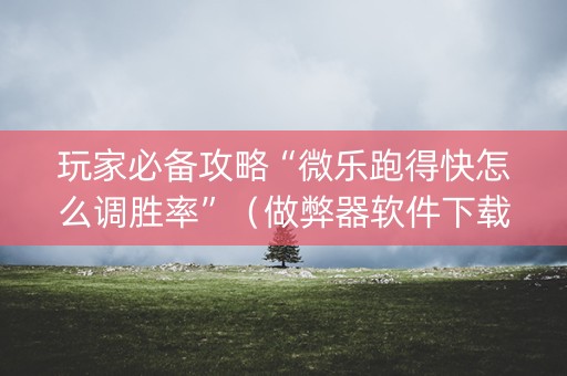 玩家必备攻略“微乐跑得快怎么调胜率”（做弊器软件下载)