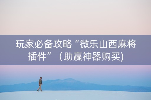 玩家必备攻略“微乐山西麻将插件”（助赢神器购买)