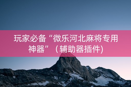 玩家必备“微乐河北麻将专用神器”（辅助器插件)