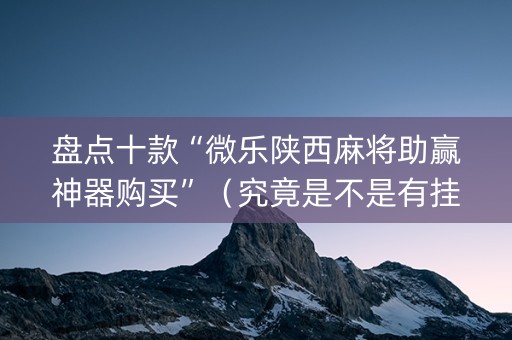 盘点十款“微乐陕西麻将助赢神器购买”（究竟是不是有挂)