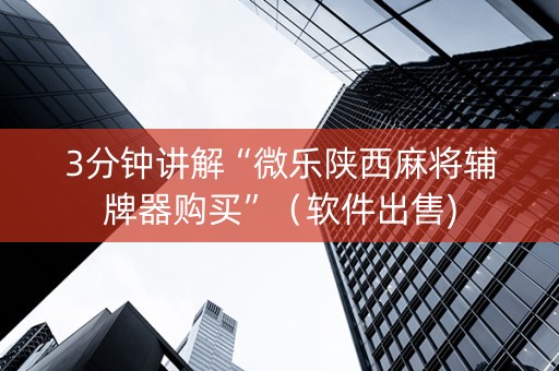 3分钟讲解“微乐陕西麻将辅牌器购买”（软件出售)