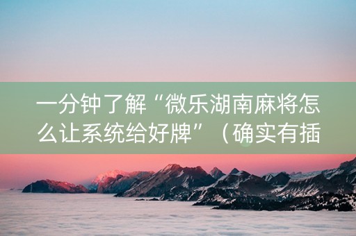 一分钟了解“微乐湖南麻将怎么让系统给好牌”（确实有插件吗)