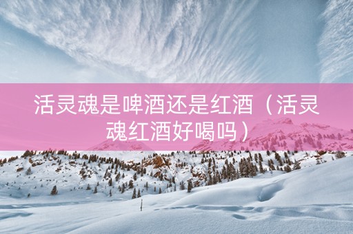 活灵魂是啤酒还是红酒（活灵魂红酒好喝吗）