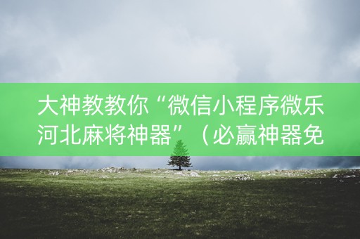 大神教教你“微信小程序微乐河北麻将神器”（必赢神器免费安装)