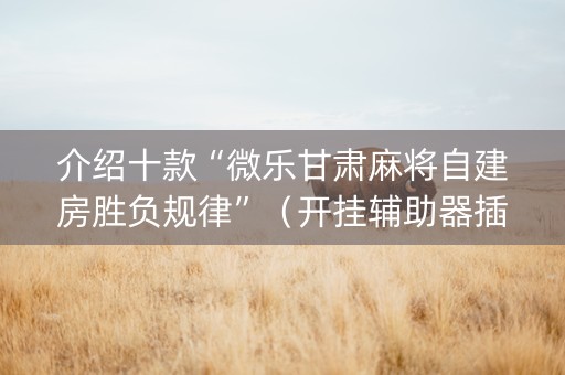 介绍十款“微乐甘肃麻将自建房胜负规律”（开挂辅助器插件)