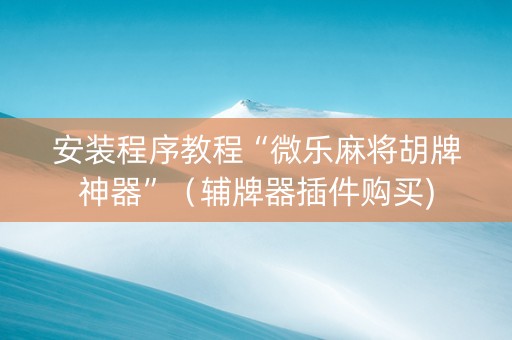 安装程序教程“微乐麻将胡牌神器”（辅牌器插件购买)