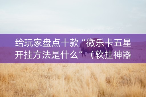 给玩家盘点十款“微乐卡五星开挂方法是什么”（软挂神器)