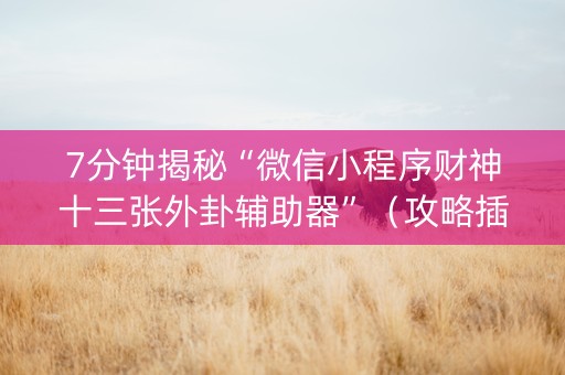 7分钟揭秘“微信小程序财神十三张外卦辅助器”（攻略插件)