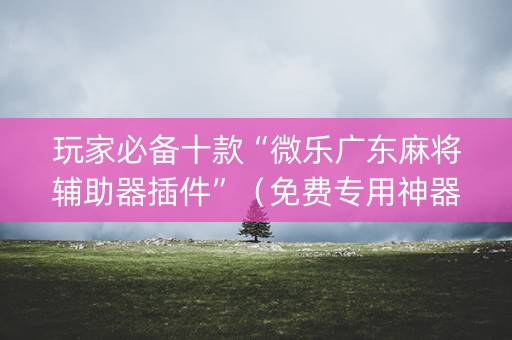 玩家必备十款“微乐广东麻将辅助器插件”（免费专用神器)