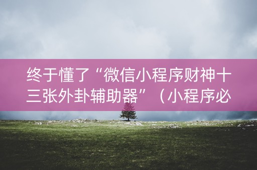 终于懂了“微信小程序财神十三张外卦辅助器”（小程序必赢神器)