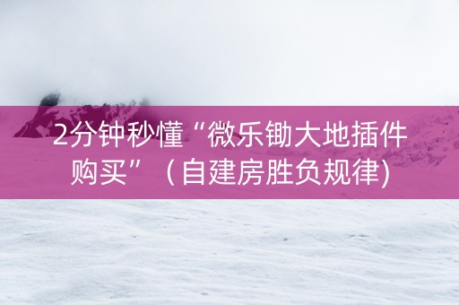 2分钟秒懂“微乐锄大地插件购买”（自建房胜负规律)
