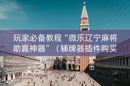 玩家必备教程“微乐辽宁麻将助赢神器”（辅牌器插件购买)